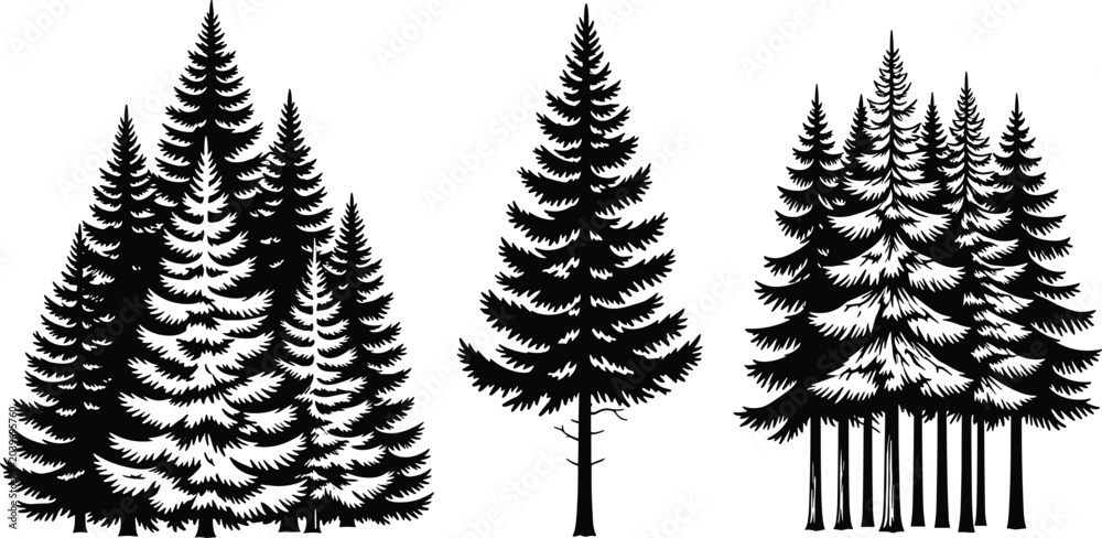 Fototapeta premium Black Silhouette Illustrations of Evergreen Pine Trees Depicting Dense Forest Cluster, Single Symmetrical Tree and Spaced Woodland Group