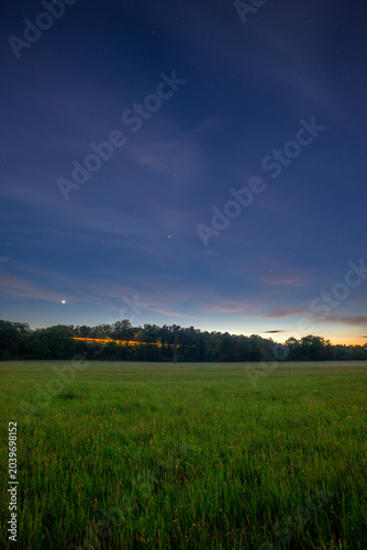 Billede på lærred A vast green field under a clear, starry night sky with a subtle, warm sunset glow lingering on the distant horizon above the forest