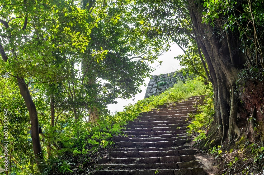 Obraz premium 米子市米子城跡の登城道に佇む新緑の木々と歴史ある石段/Fresh Green Trees and Historic Stone Steps Along the Approach to Yonago Castle Ruins in Yonago City