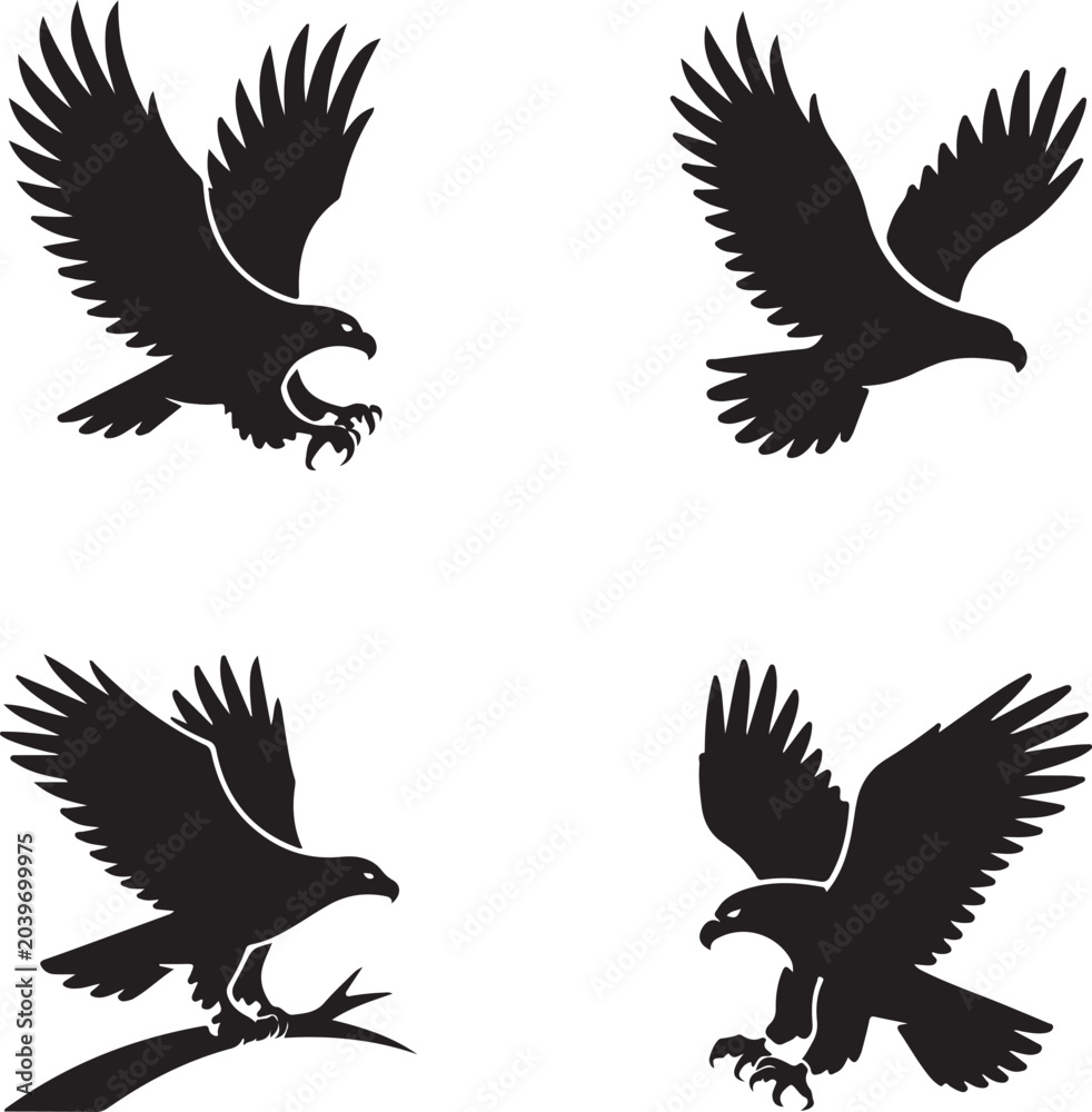 Fototapeta premium Four black eagle silhouettes in various flying and hunting poses isolated on a white background, for avian or, wildlife themed