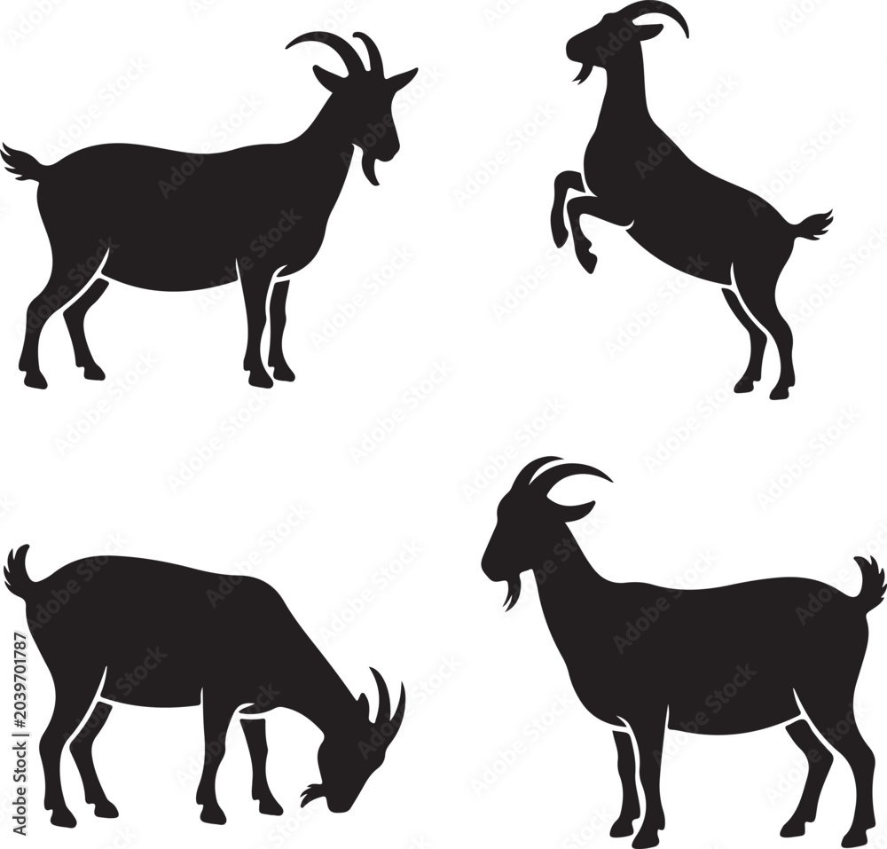 Fototapeta premium Set of four black goat silhouettes in various standing and grazing poses isolated on a white background, for farm animal