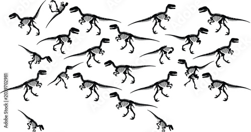 Foto Dinosaur Skeleton and Fossil Silhouette Pattern Background with Velociraptor Bon