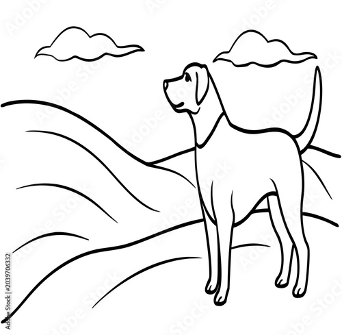 dog in a hat