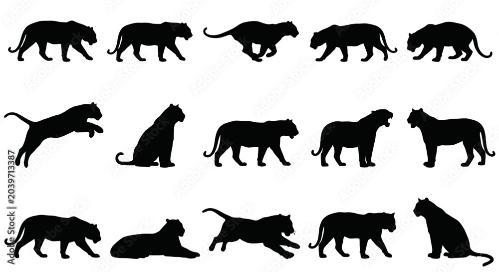 Obraz premium Dynamic Black Panther Silhouettes A Comprehensive Collection of Big Cat Poses, Featuring Various Movements and Actions