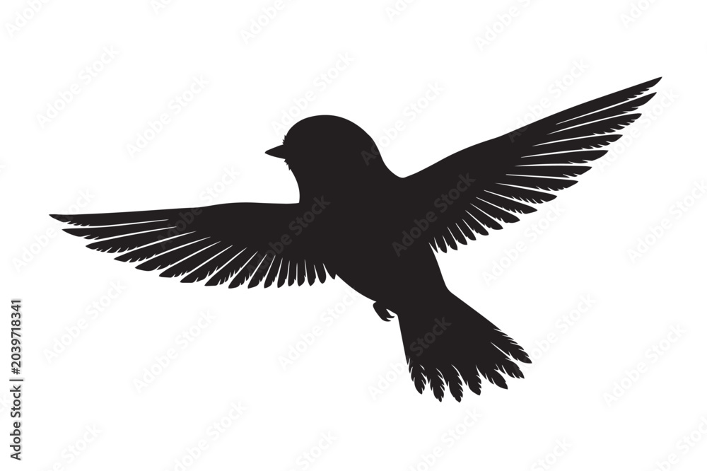 Fototapeta premium Flying Black-Capped Chickadee Bird Silhouette Isolated Songbird Graphic Element