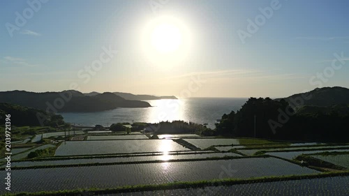 太陽が海と棚田に映り込む時間帯の風景（佐賀県　駄竹の棚田）