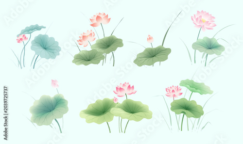 Chinese Lotus Flower Traditional Design Element Collection