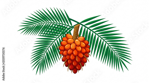 A vibrant palm tree fruit cluster.