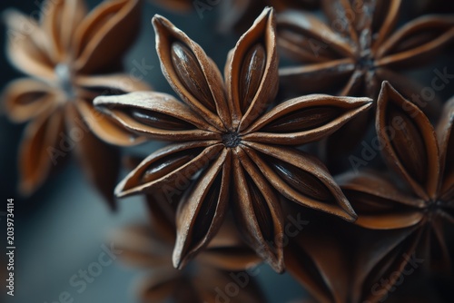 Close-up of intricate star anise pods displaying rich brown hues and unique floral shapes.