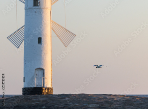 Stawa Młyny in Świnoujście in Polen bei Morgendämmerung mit fliegender Schwarzkopfmöwe über ruhiger Ostsee und goldenem Morgenlicht am Horizont