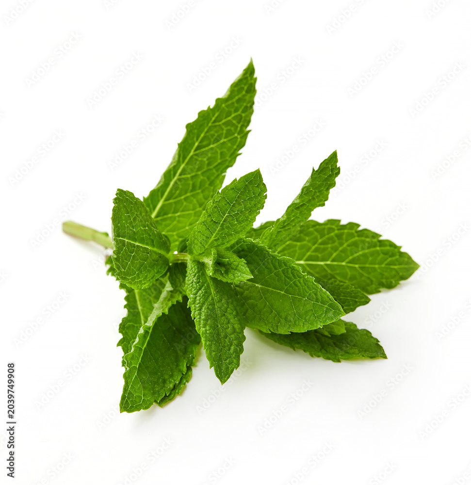 Fototapeta premium Fresh mint sprig isolated on white background, green peppermint leaves close up