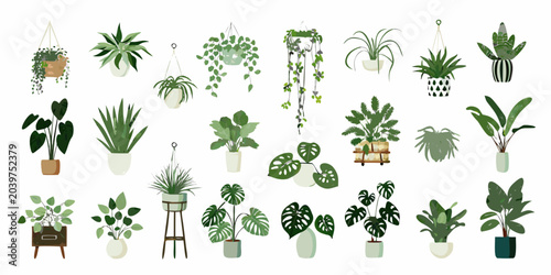 Foto houseplant collection in flat vector style plants