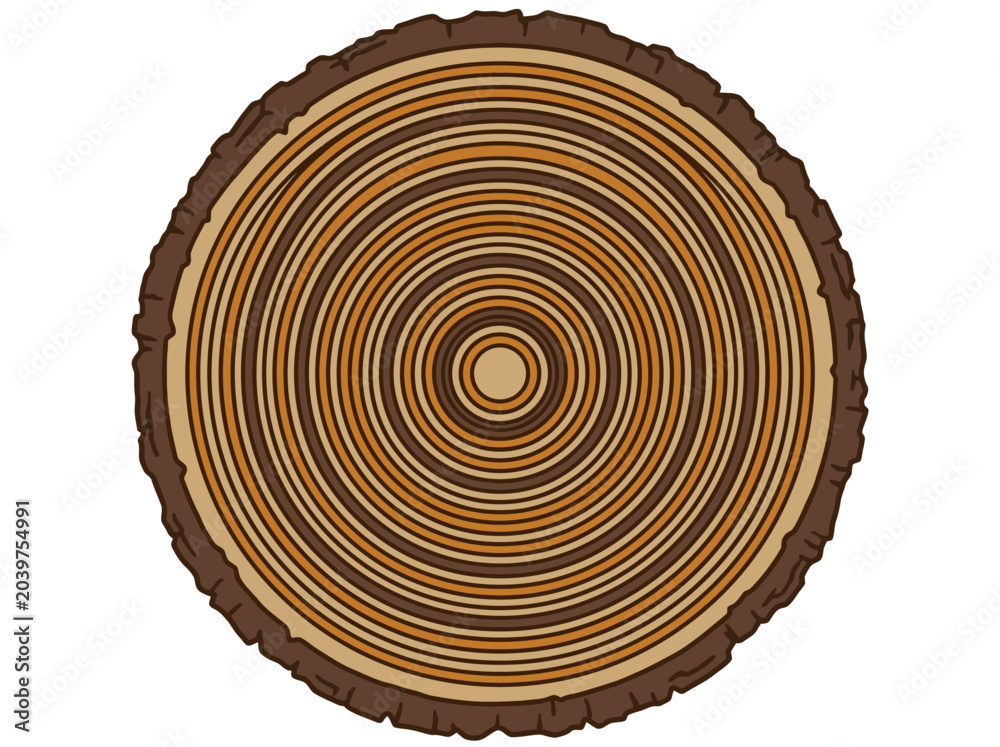Fototapeta premium Tree trunk cross-section vector with annual growth rings on white background.