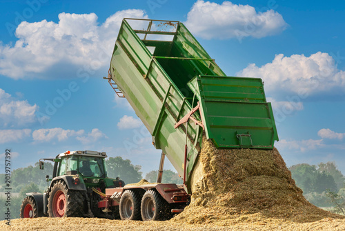 Agricultural machine unloading chopped maize on a depot - 0186