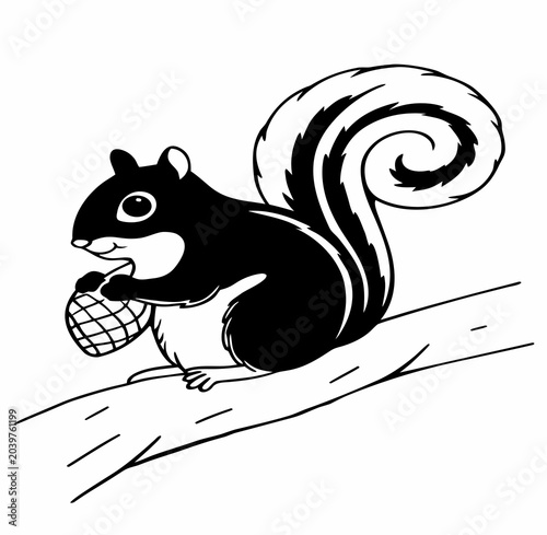 squirrel with nut