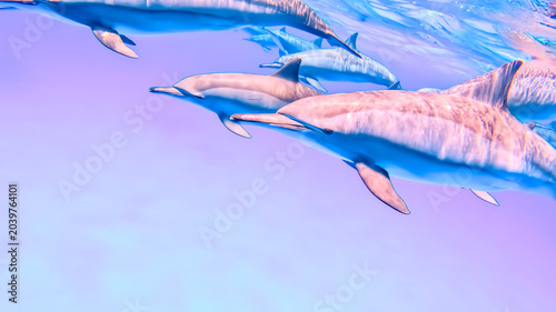 Bild auf Leinwand Beautiful underwater photo of a pod of spinner dolphins swimming gracefully in crystal-clear blue water