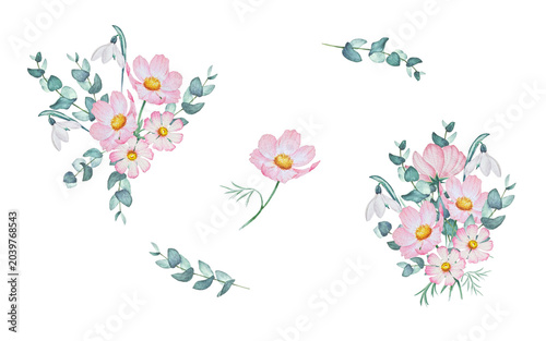 Watercolor pink cosmos and snowdrop flower set isolated on white background
