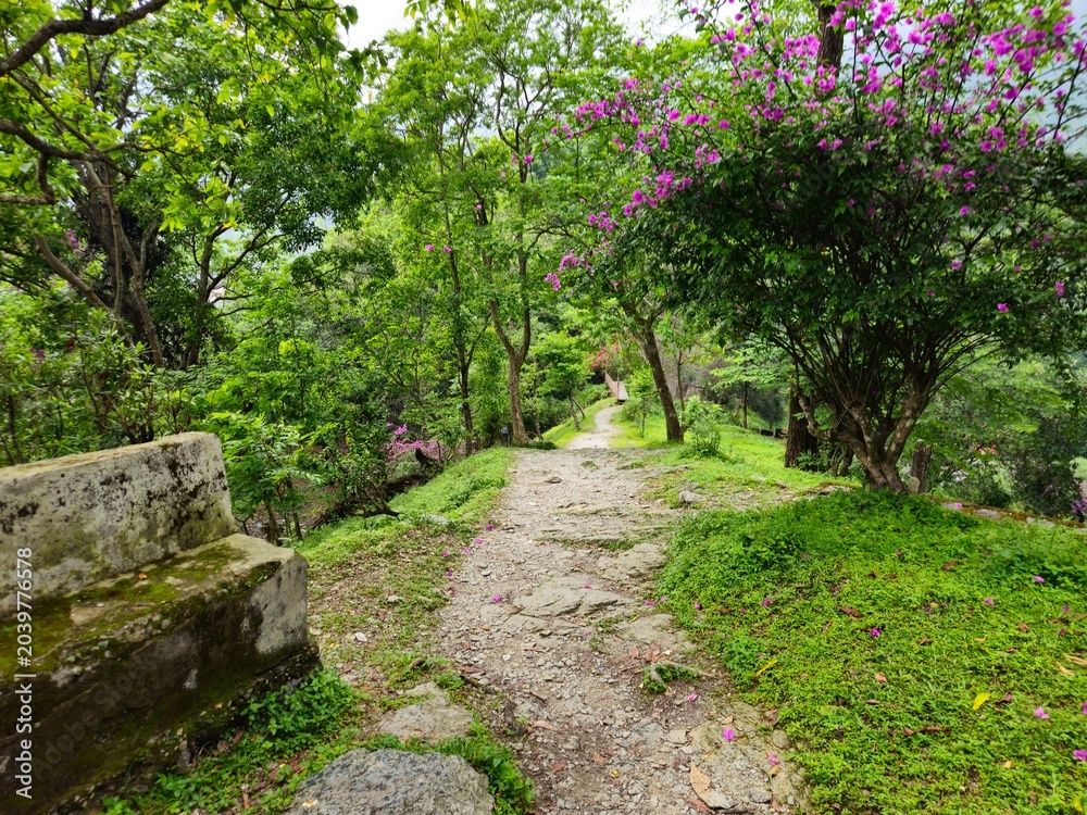 Fototapeta premium Scenic view of lush green vegetation and rolling Himalayan foothills under dramatic cloudy skies in Darjeeling, West Bengal, India. Natural landscape featuring rural countryside, monsoon season