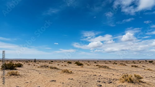Vast Arid Desert Landscape, Wide Open Horizon, Blue Sky, Sparse Vegetation