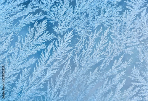  texture background. 