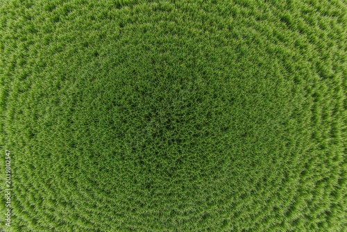  texture background. 