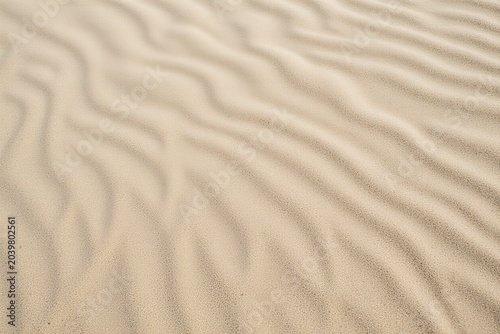  texture background. 