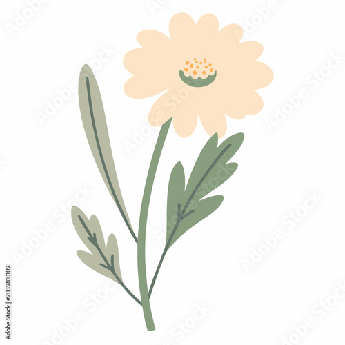 Foto Chamomile Flower Vector Illustration With Green Leaves On White Background