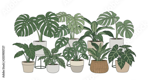 Diverse collection of indoor house plants including monstera and philodendron are arranged in various stylish ceramic pots.