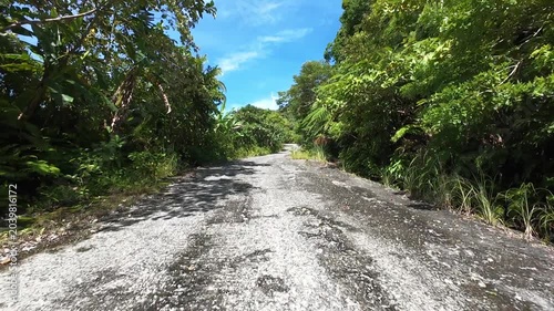 Tropical jungle road under blue sky. Camera slowly moves forward along a weathered road surrounded by dense tropical vegetation, leading through lush rainforest scenery beneath bright sunlight.