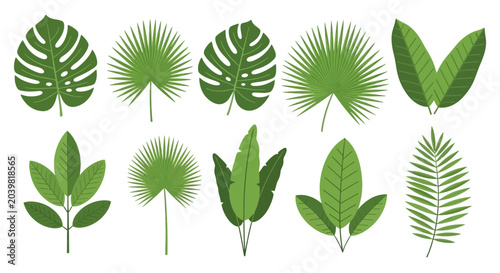 Green Palm and Monstera Tropical Foliage Elements Set