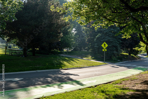 Slika na platnu Sunlit park scene featuring a curved road with a designated green bike lane and