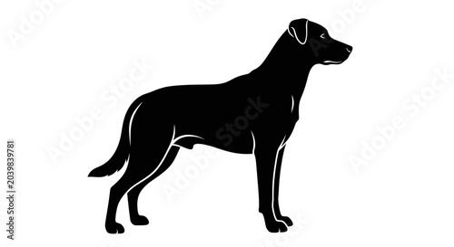 Konstfotografi Black dog standing in profile view.