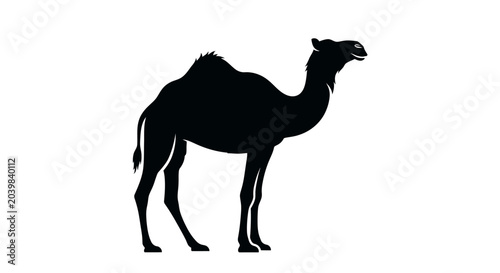 Canvas-taulu Black silhouette of a camel standing.