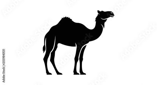 Konstfotografi Black silhouette of a camel standing.