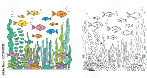 Hand drawn underwater sea world with colorful fish and black and white coloring page for children ocean life activity with coral reef and seaweed vector illustration