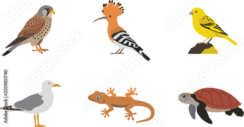 Photography Collection of Stylized Wild Animals Including Various Birds, a Gecko, and a Sea