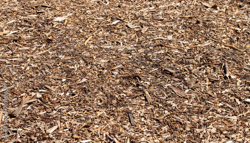 Fotografie Natural brown wood chips and bark mulch covering ground in garden as textured ba