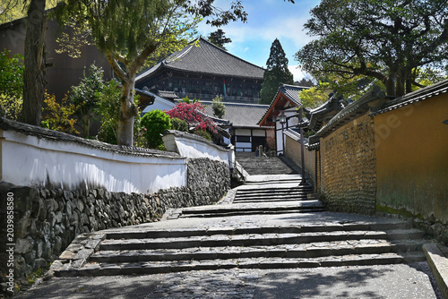 春の世界文化遺産 東大寺二月堂裏参道