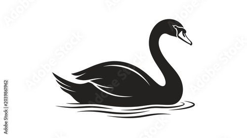 Fotografie Black swan vector illustration of swan on a lake, nature wildlife art with silho