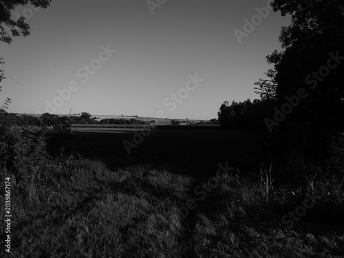 Canvas Print The monochrome landscape reveals the depth of fields, trees, and distant hills
