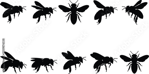 Collection of diverse bee silhouette illustrations, showcasing various poses and perspectives of these essential pollinators in a graphic design format