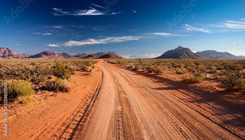 Dirt Road Forking Across Arid Desert Landscape