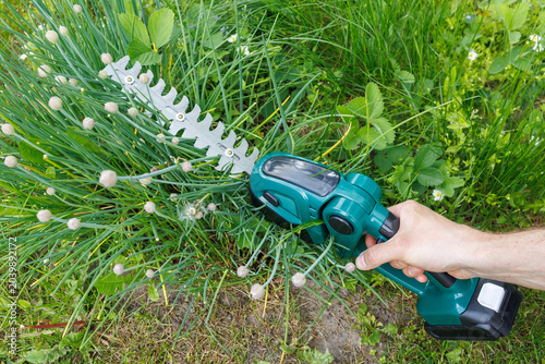 Hand uses a cordless hedge trimmer to cut chive stems in a garden