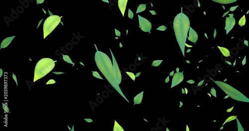 Green leaves falling down on dark green background, seamless loop. With transparent by alpha channel.