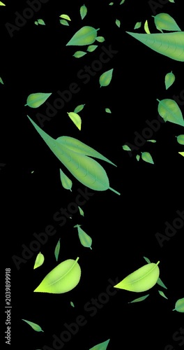 Green leaves falling down on dark green background, seamless loop. Vertical video with transparent by alpha channel.