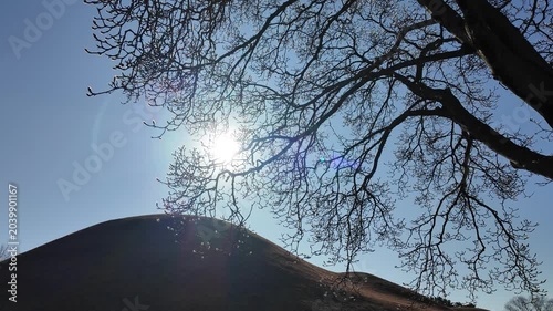 Bright Sun Beaming Through Tree Branches Over Ancient Tombs in Gyeongju