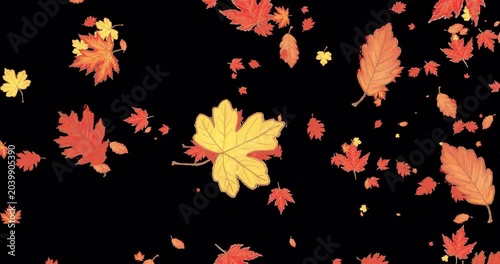 Autumn leaves falling down on brown background, seamless loop. With transparent by alpha channel.