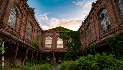 Ruined building with plants