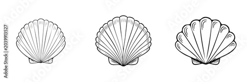 Set of Hand Drawn Scallop Shell Illustrations in Black and White