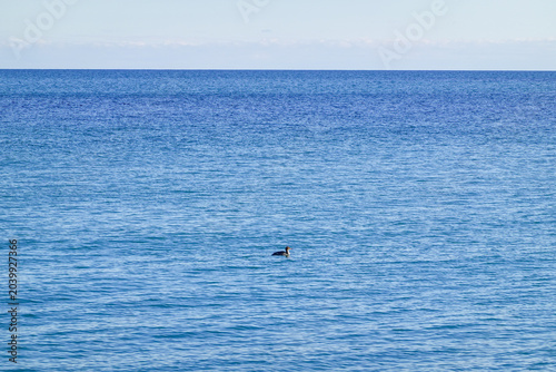 Photography Open Blue Water With Clean Horizon